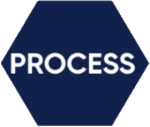 process